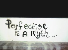 1355268080_perfection-myth